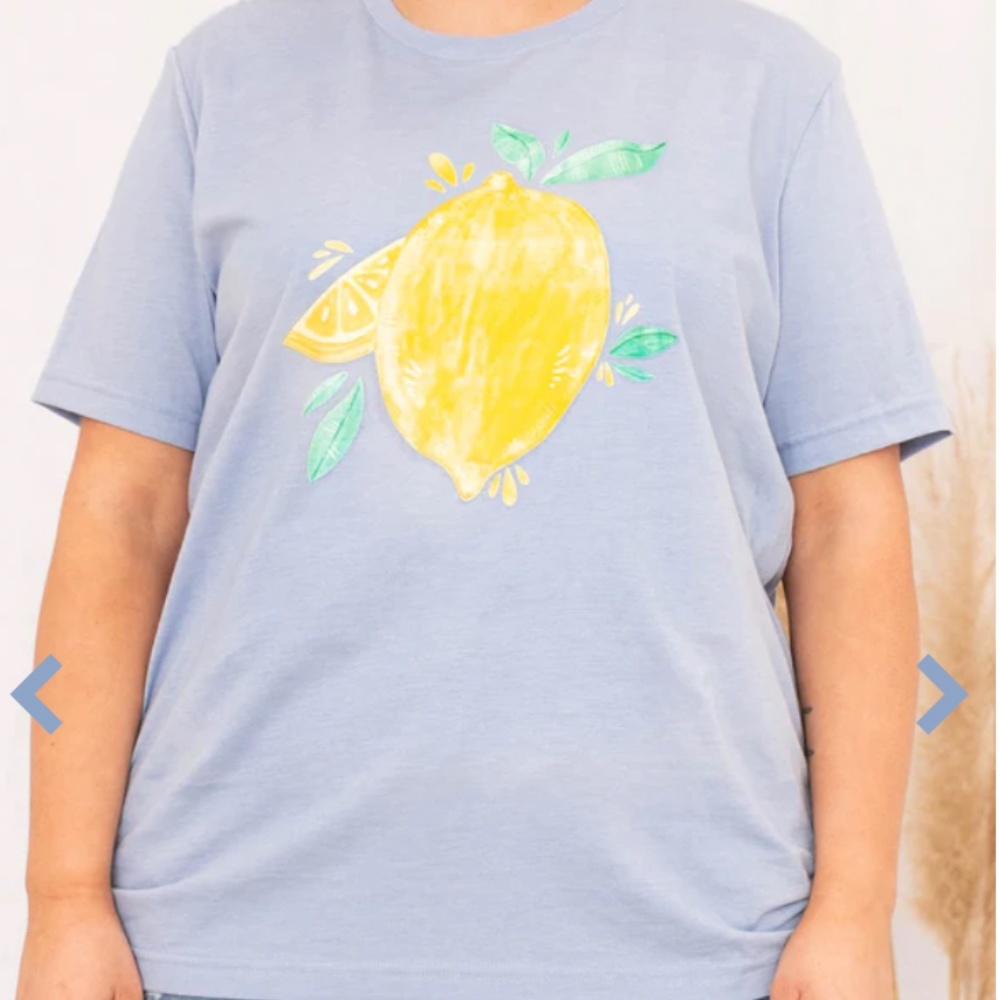 Plus Size Blue Lemon Print Tee Shirt Like New